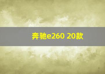 奔驰e260 20款